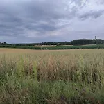 Vakantiehuis Widny Jas Zaprasza Z Psem Nad Jezioro Na Kaszuby Sulęczyno
