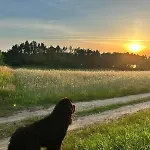 Vakantiehuis Widny Jas Zaprasza Z Psem Nad Jezioro Na Kaszuby
