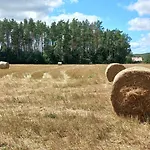 Widny Jas Zaprasza Z Psem Nad Jezioro Na Kaszuby