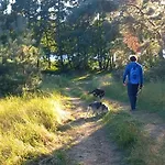Widny Jas Zaprasza Z Psem Nad Jezioro Na Kaszuby Vakantiehuis