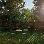 Widny Jas Zaprasza Z Psem Nad Jezioro Na Kaszuby