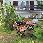 Widny Jas Zaprasza Z Psem Nad Jezioro Na Kaszuby