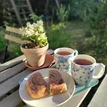 Widny Jas Zaprasza Z Psem Nad Jezioro Na Kaszuby *