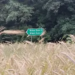 Widny Jas Zaprasza Z Psem Nad Jezioro Na Kaszubach بيت للعطل *
