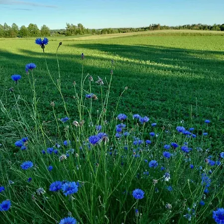 Widny Jas Zaprasza Z Psem Nad Jezioro Na Kaszubach *