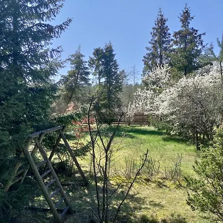 Widny Jas Zaprasza Z Psem Nad Jezioro Na Kaszubach Vakantiehuis Sulęczyno