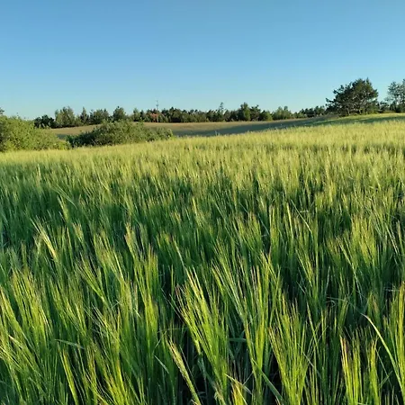 Dom Widny Jas Zaprasza Nad Jezioro Na Kaszuby Sulęczyno