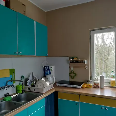 Widny Jas Zaprasza Z Psem Nad Jezioro Na Kaszubach