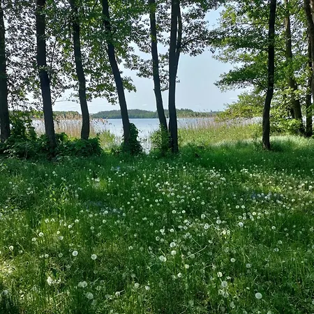 Vakantiehuis Widny Jas Zaprasza Z Psem Nad Jezioro Na Kaszuby