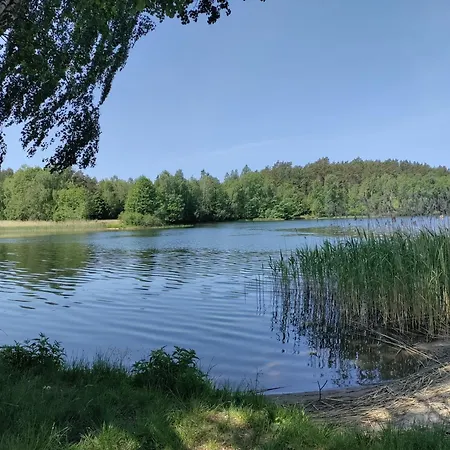 Widny Jas Zaprasza Z Psem Nad Jezioro Na Kaszubach *