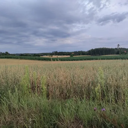 別荘 Widny Jas Zaprasza Z Psem Nad Jezioro Na Kaszubach Sulęczyno