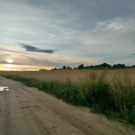Widny Jas Zaprasza Z Psem Nad Jezioro Na Kaszuby Nyaraló *