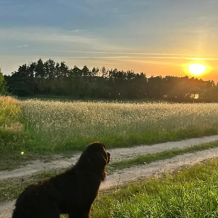 Vakantiehuis Widny Jas Zaprasza Z Psem Nad Jezioro Na Kaszubach
