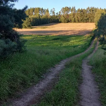 Prázdninový dům Widny Jas Zaprasza Z Psem Nad Jezioro Na Kaszubach *