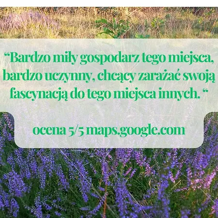 Vakantiehuis Widny Jas Zaprasza Z Psem Nad Jezioro Na Kaszubach Sulęczyno