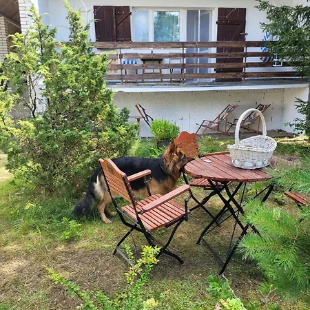 Widny Jas Zaprasza Z Psem Nad Jezioro Na Kaszubach