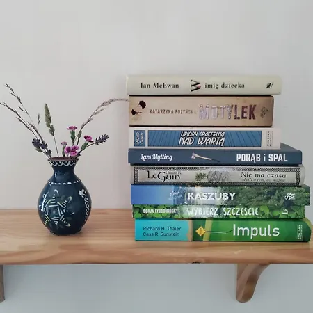 Widny Jas Zaprasza Z Psem Nad Jezioro Na Kaszubach Sulęczyno