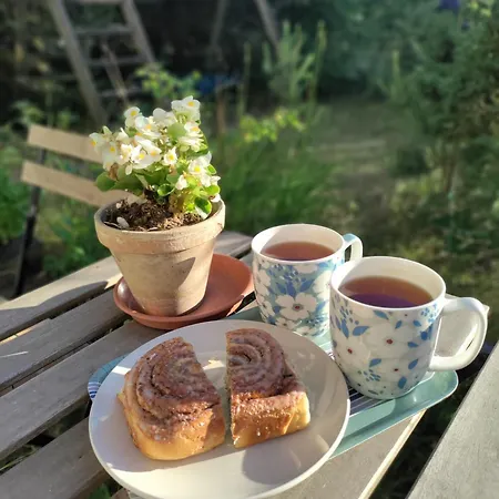 Widny Jas Zaprasza Z Psem Nad Jezioro Na Kaszubach *