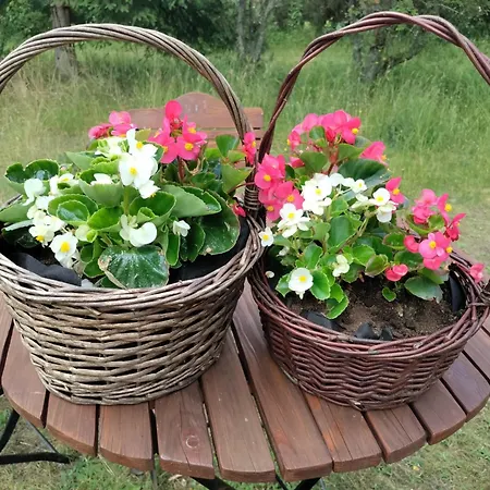 Widny Jas Zaprasza Z Psem Nad Jezioro Na Kaszubach Σπίτι διακοπών