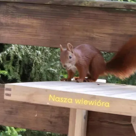 Σπίτι διακοπών Widny Jas Zaprasza Z Psem Nad Jezioro Na Kaszubach Sulęczyno