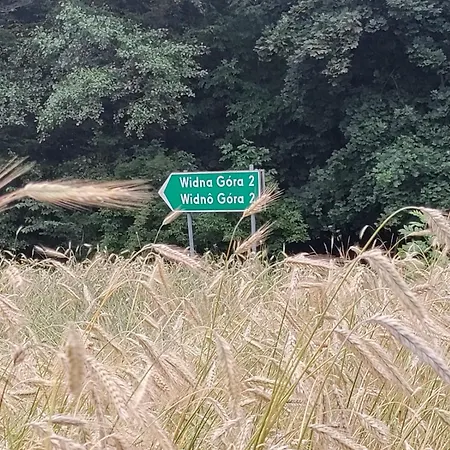 Widny Jas Zaprasza Z Psem Nad Jezioro Na Kaszubach Σπίτι διακοπών *