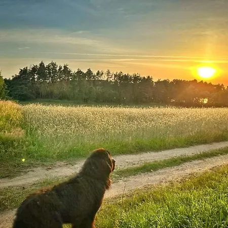 Dom Widny Jas Zaprasza Nad Jezioro Na Kaszuby *
