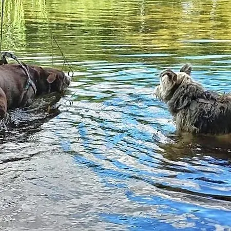Dom Widny Jas Zaprasza Nad Jezioro Na Kaszuby Vakantiehuis