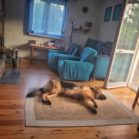 Dom Widny Jas Zaprasza Nad Jezioro Na Kaszuby * Sulęczyno