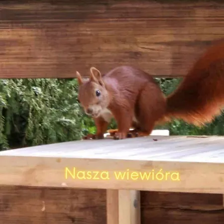 Dom Widny Jas Zaprasza Nad Jezioro Na Kaszuby Sulęczyno