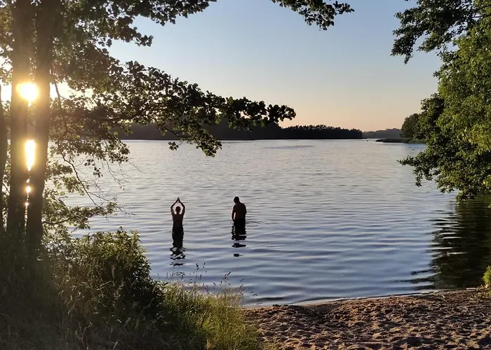 Widny Jas Zaprasza Z Psem Nad Jezioro Na Kaszubach * Sulęczyno