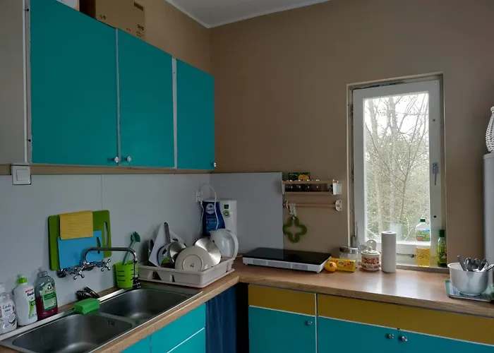 Widny Jas Zaprasza Z Psem Nad Jezioro Na Kaszubach