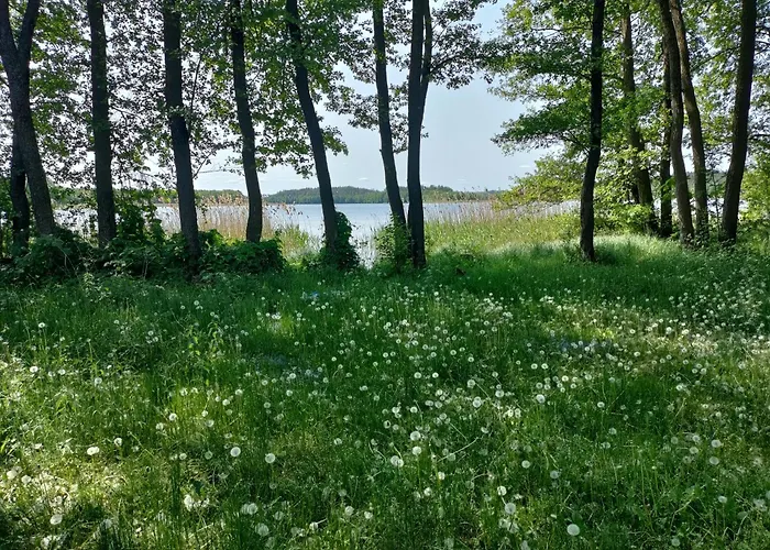 Дом отдыха Widny Jas Zaprasza Z Psem Nad Jezioro Na Kaszubach