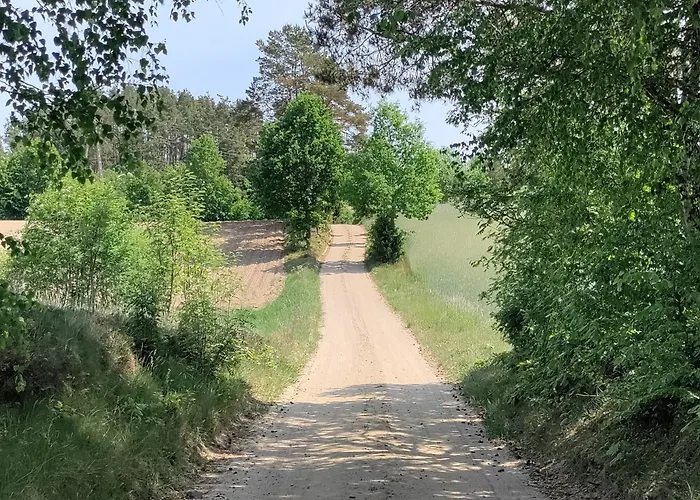 Widny Jas Zaprasza Z Psem Nad Jezioro Na Kaszubach 別荘