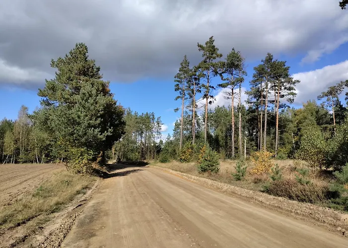 別荘 Widny Jas Zaprasza Z Psem Nad Jezioro Na Kaszubach Sulęczyno