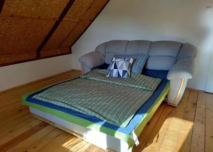 Widny Jas Zaprasza Z Psem Nad Jezioro Na Kaszubach Sulęczyno