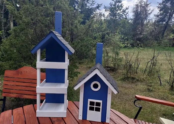 Widny Jas Zaprasza Z Psem Nad Jezioro Na Kaszubach *