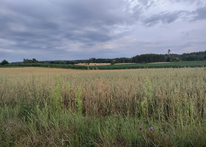 Σπίτι διακοπών Widny Jas Zaprasza Z Psem Nad Jezioro Na Kaszubach Sulęczyno