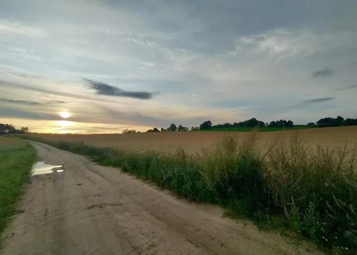 Widny Jas Zaprasza Z Psem Nad Jezioro Na Kaszubach 別荘 *