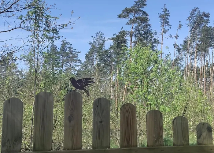 Дом отдыха Widny Jas Zaprasza Z Psem Nad Jezioro Na Kaszubach *