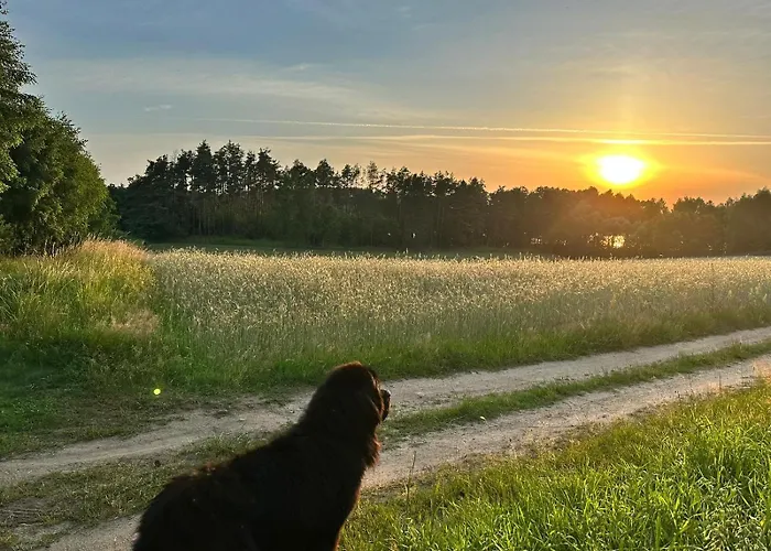 Дом отдыха Widny Jas Zaprasza Z Psem Nad Jezioro Na Kaszubach
