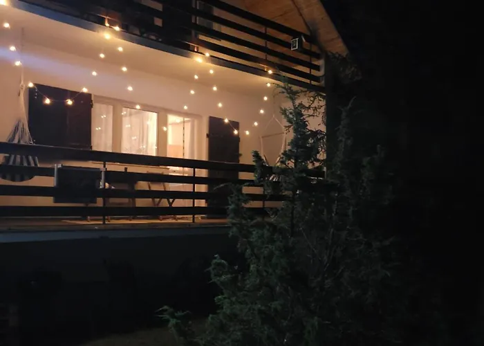 Widny Jas Zaprasza Z Psem Nad Jezioro Na Kaszubach