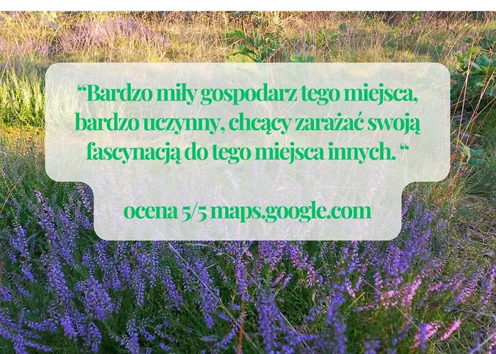 別荘 Widny Jas Zaprasza Z Psem Nad Jezioro Na Kaszubach Sulęczyno