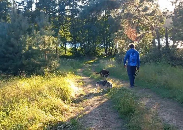 Widny Jas Zaprasza Z Psem Nad Jezioro Na Kaszubach Дом отдыха
