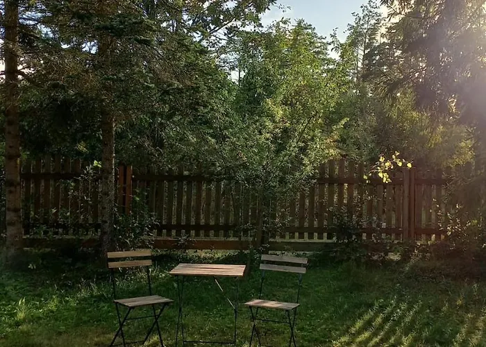 Widny Jas Zaprasza Z Psem Nad Jezioro Na Kaszubach