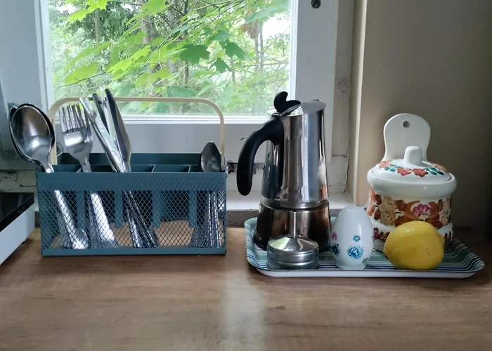 Holiday home Widny Jas Zaprasza Z Psem Nad Jezioro Na Kaszubach *