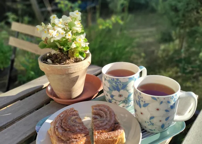 Widny Jas Zaprasza Z Psem Nad Jezioro Na Kaszubach *