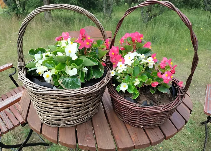 Widny Jas Zaprasza Z Psem Nad Jezioro Na Kaszubach Дом отдыха