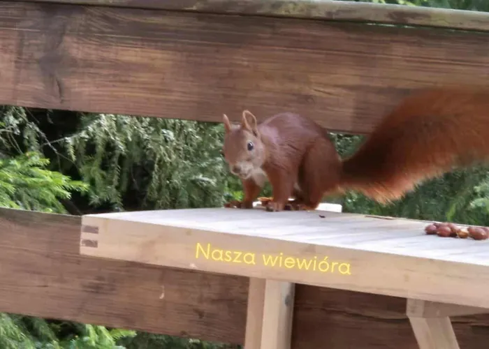 Σπίτι διακοπών Widny Jas Zaprasza Z Psem Nad Jezioro Na Kaszubach Sulęczyno