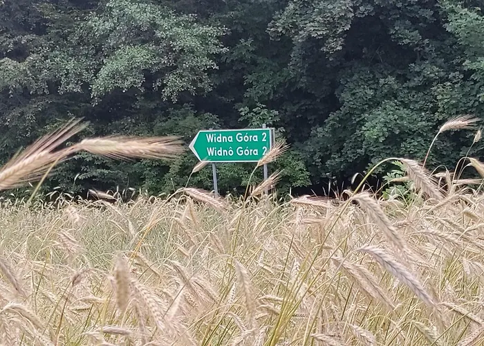 Widny Jas Zaprasza Z Psem Nad Jezioro Na Kaszubach Σπίτι διακοπών *