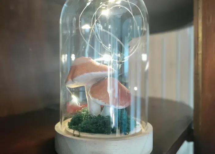 Widny Jas Zaprasza Z Psem Nad Jezioro Na Kaszubach * Sulęczyno